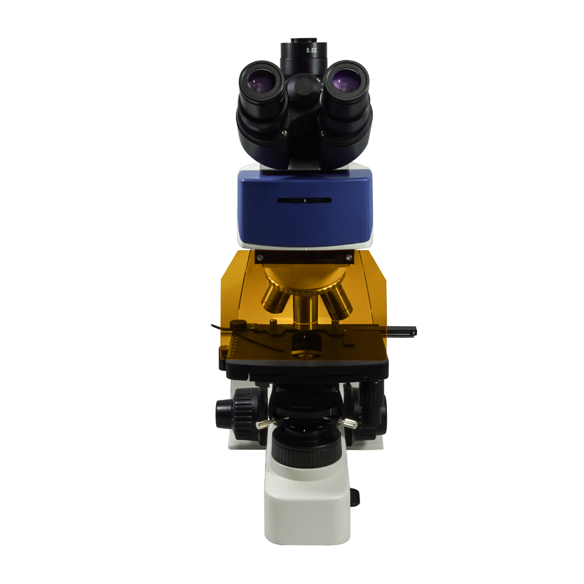 Fluorescence Microscope